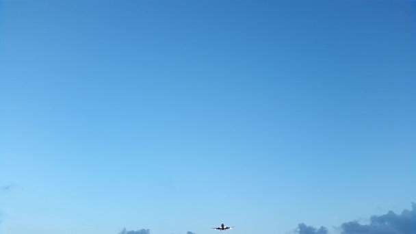 L'avion de ligne TNT atterrit à l'aéroport international de Porto — Video