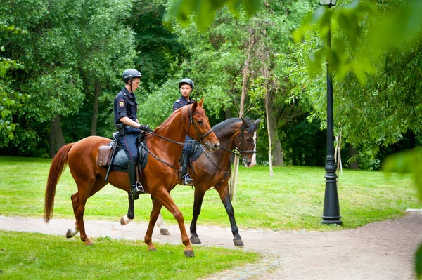 Kůň policie — Stock fotografie