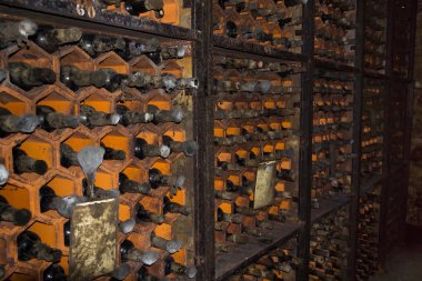 Bottles in the wine cellar in the wine cellar