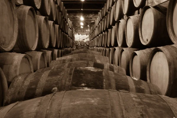 Barrels in the wine cellar — Stock Photo, Image