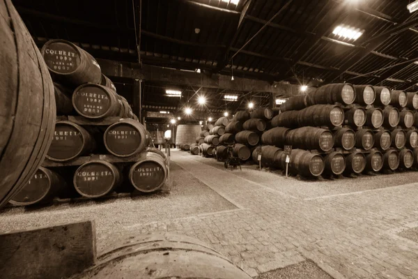 Baryłek w piwnicy winiarskiej — Zdjęcie stockowe
