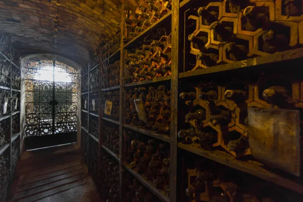 Bottles in the wine cellar in the wine cellar — Stockfoto