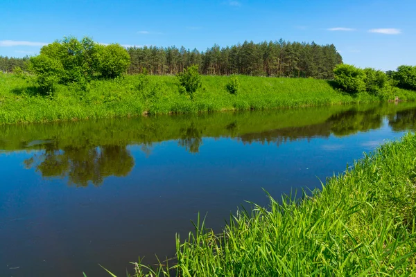 Річка в лісі краєвид — стокове фото