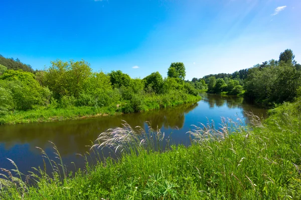 Річка в лісі краєвид — стокове фото