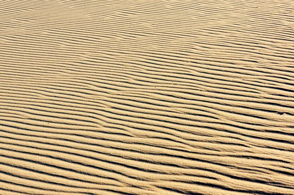 Sand on the dunes — Stock Photo, Image