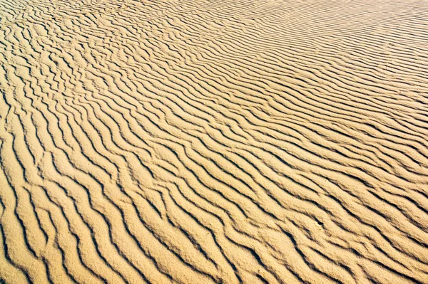 Sand on the dunes — Stock Photo, Image