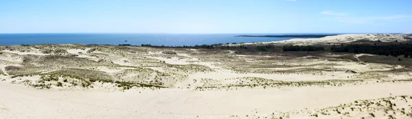 Curonian Spit — Stock Photo, Image