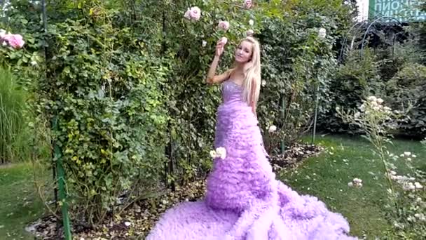 Jonge vrouw in een roze jurk met een lange trein poseren in park — Stockvideo