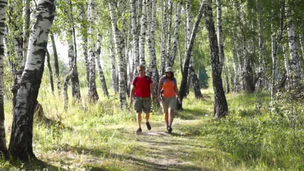 Wanderer mittleren Alters wandern in einem Birkenwald und erkunden die Karte — Stockvideo