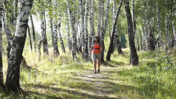 Молода жінка ходить по березовому лісу, досліджуючи пішохідну карту — стокове відео