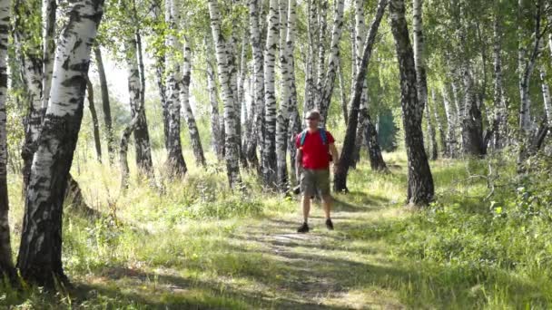 Średnim wieku męskiego wycieczkowicz trekking w drewnie brzozy, robi zdjęcia przez aparat cyfrowy — Wideo stockowe