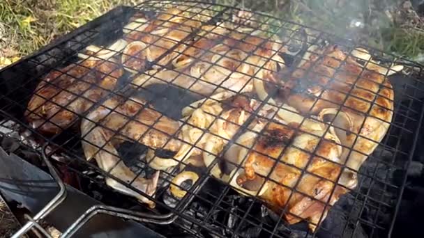 Kurczak smażony na grill — Wideo stockowe