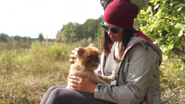 Giovane donna gioca con il piccolo cane Griffon Brussellois — Video Stock