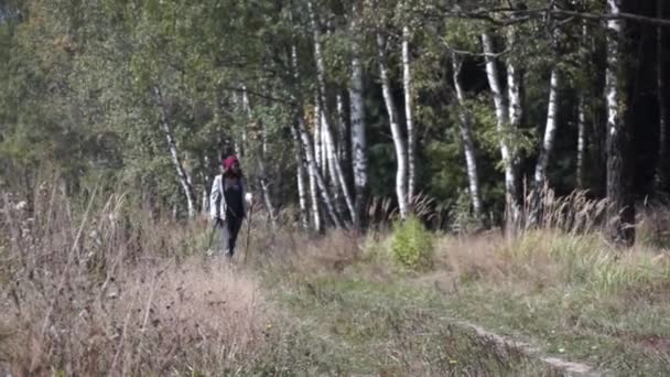 Mladá žena jde Nordic walking venku — Stock video