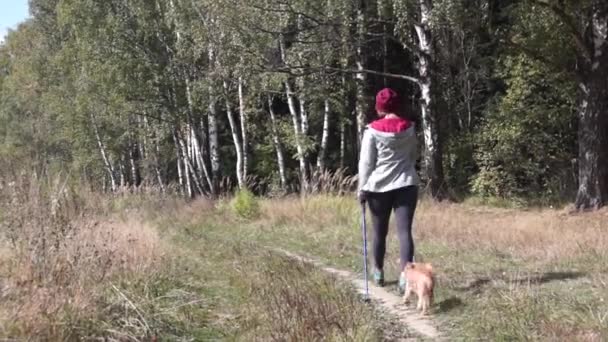 Giovane donna va Nordic walking all'aperto — Video Stock