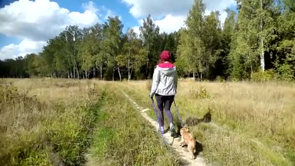 Giovane donna va Nordic walking all'aperto — Video Stock