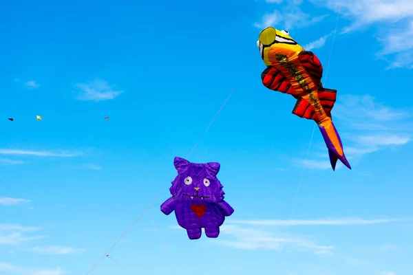 Kites — Stock Photo, Image