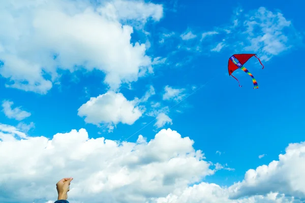 Hands holding kite — Stock Photo, Image