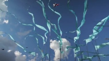 Blue ribbon bayrakları