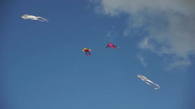 Farklı renk uçurtmalar uçan