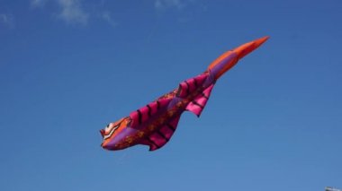 Gökyüzünde büyük uçurtma