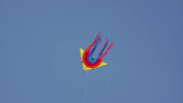 一个多颜色风筝 — 图库视频影像