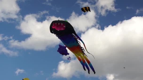 大风筝在天空中 — 图库视频影像