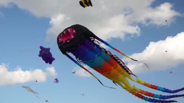 大风筝在天空中 — 图库视频影像