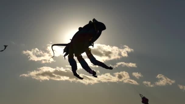 Große Drachen am Himmel — Stockvideo