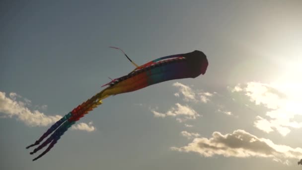 Большие воздушные змеи в небе — стоковое видео
