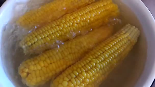 Cooking fresh corn cob — Stock Video