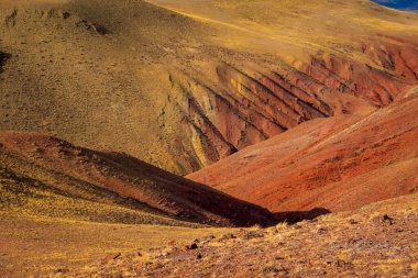 Sıcak sarılar içinde canlı çöl tepeleri. Pürüzlü sırtları olan kırmızı portakallar. Ve seyrek bitki örtüsü.