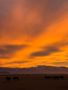 Karlı, turuncu gökyüzü. Alacakaranlık atlarının otladığı dağlar. Uzak, düz çadırlar..
