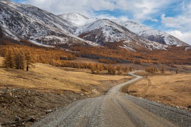 Altın karaçam ormanının içinden kar kaplı tepelere, uzak sonbahar manzaralarına ve açık vadiye uzanan dolambaçlı çakıl yolu. Manzaralı, huzurlu, engebeli arazi.