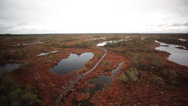 Paisaje pantano Kemeri — Vídeos de Stock