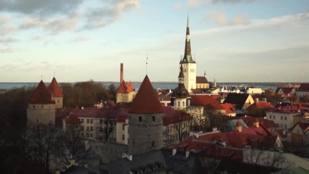 Gamla staden i Tallinn, Estland — Stockvideo