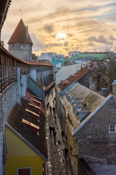 Medeltida mur och tornet i gamla Tallinn city — Stockfoto