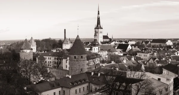Таллинн, ландшафт старого города Эстонии — стоковое фото