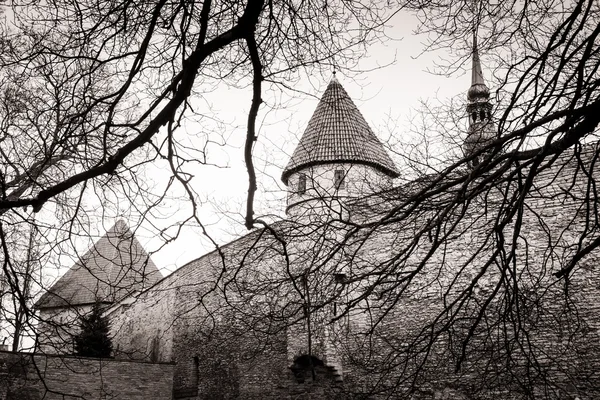 Mur médiéval et tour dans la vieille ville de Tallinn — Photo