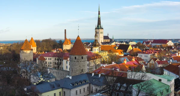 Tallinn, Estonya eski şehir manzarası — Stok fotoğraf