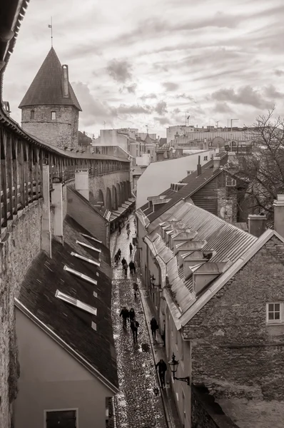 Muro medievale e torre nella vecchia città di Tallinn — Foto Stock