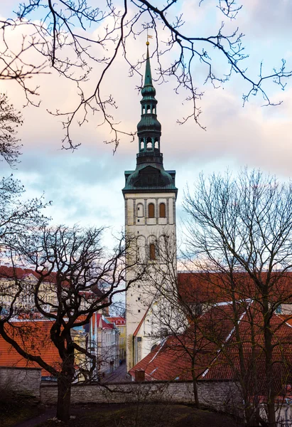 Medieval tower in old Tallinn city — Stock Photo, Image