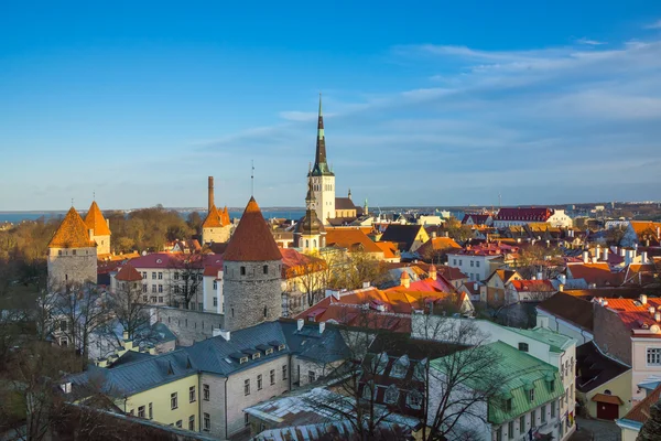 Tallinn, estland alte stadtlandschaft — Stockfoto