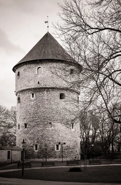 Torre medieval na cidade velha de Tallinn — Fotografia de Stock