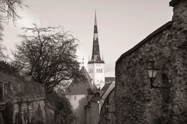 Tallinn, estland alte stadtlandschaft — Stockfoto