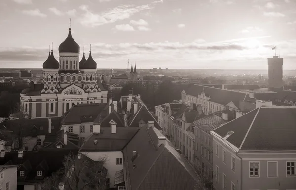 Letecký pohled na Tallin staré město — Stock fotografie