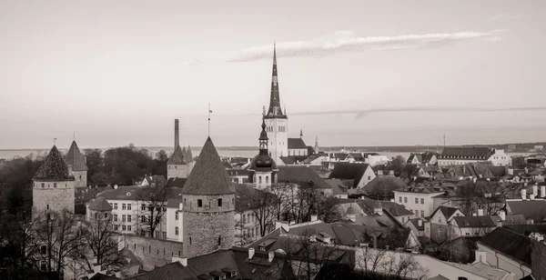 Tallinn, Estland oude stad landschap — Stockfoto