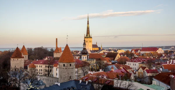 Tallinn, Estonsko staré město krajina — Stock fotografie