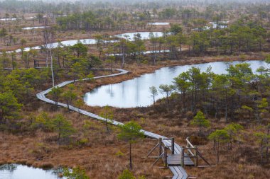 Kemeri bataklık manzara