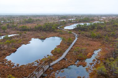 Kemeri bataklık manzara